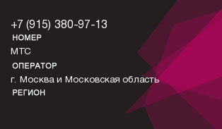 9153809713